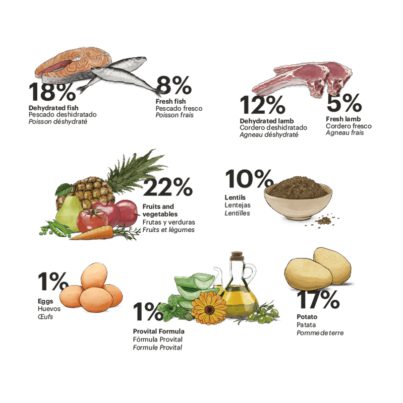 Exclusive Grain Free Dog Adult Mini Fish with Lamb